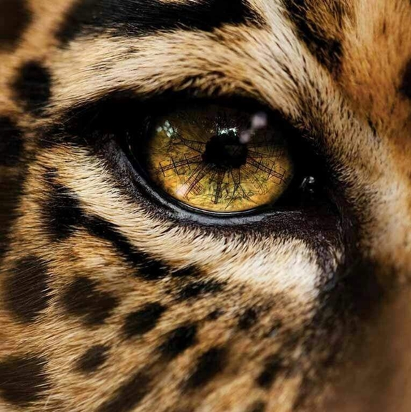 Meet your Posher, Michelle - Picture 2 of 3